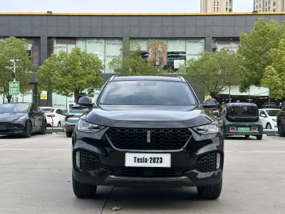 Wey Wei brand VV6