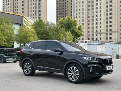 Wey Wei brand VV6