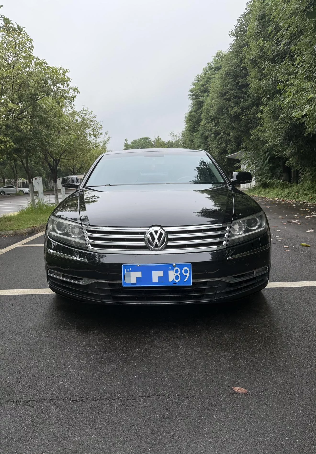 Volkswagen Phaeton / Phideon  из Китая