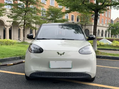 Wuling Bingo