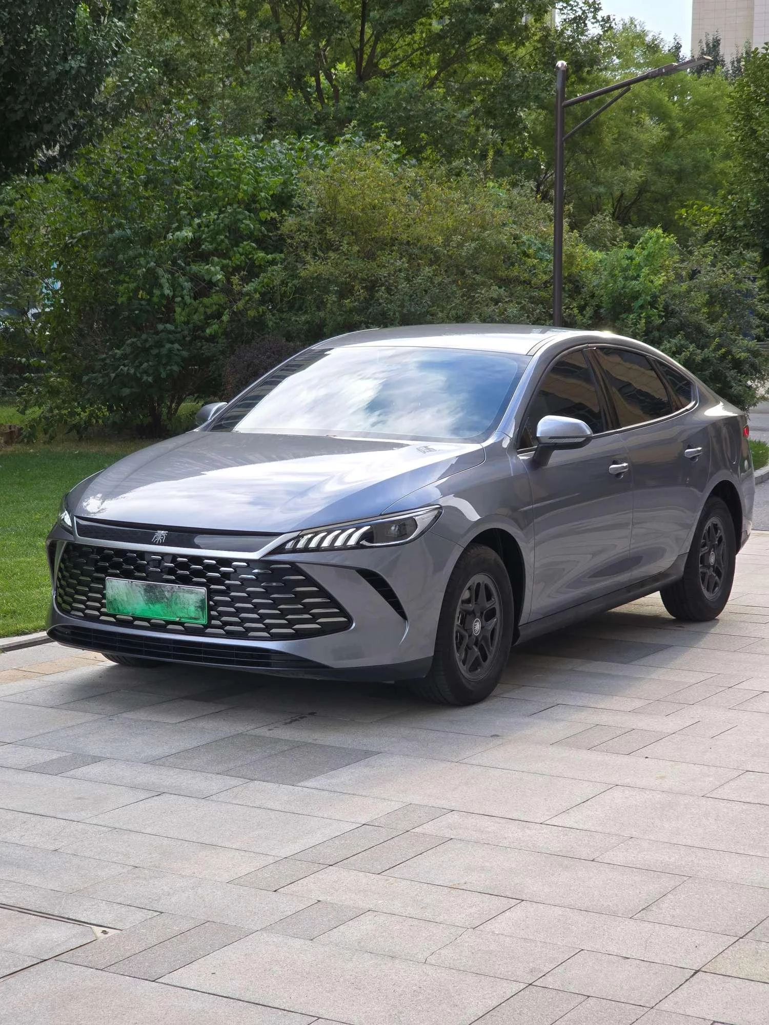 BYD Qin PLUS DM
