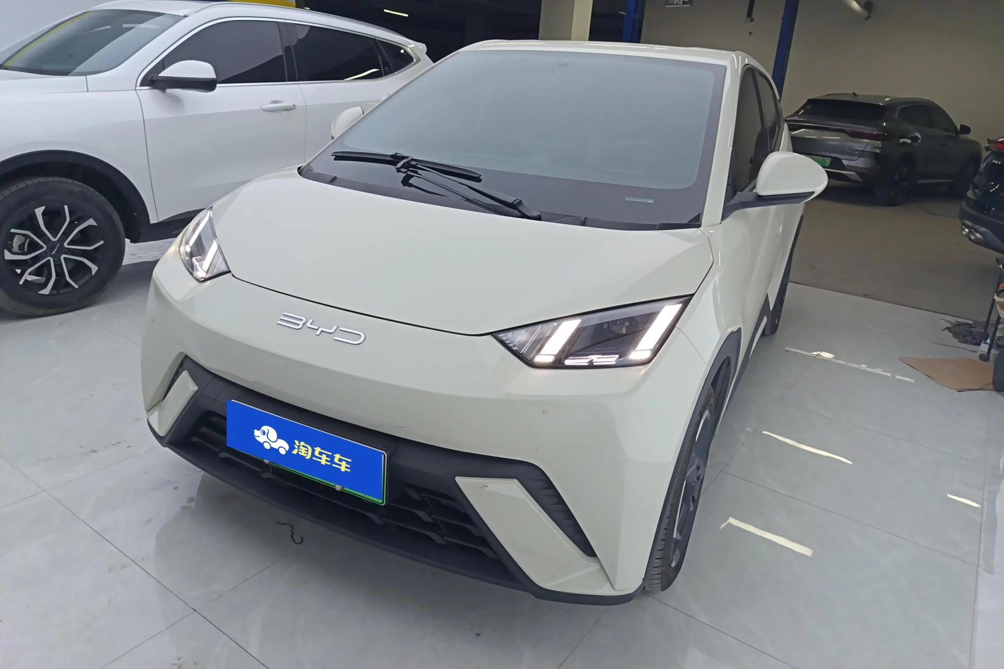 BYD Seagull
