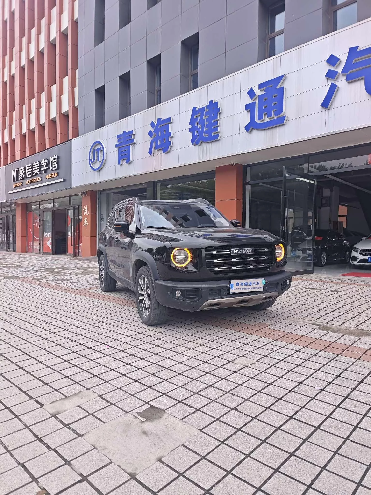 Haval Dargo