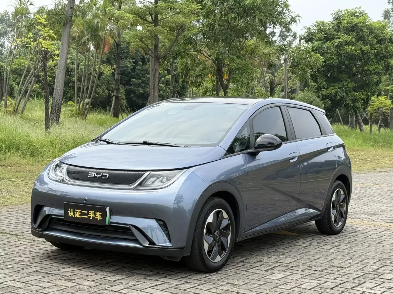 BYD Dolphin