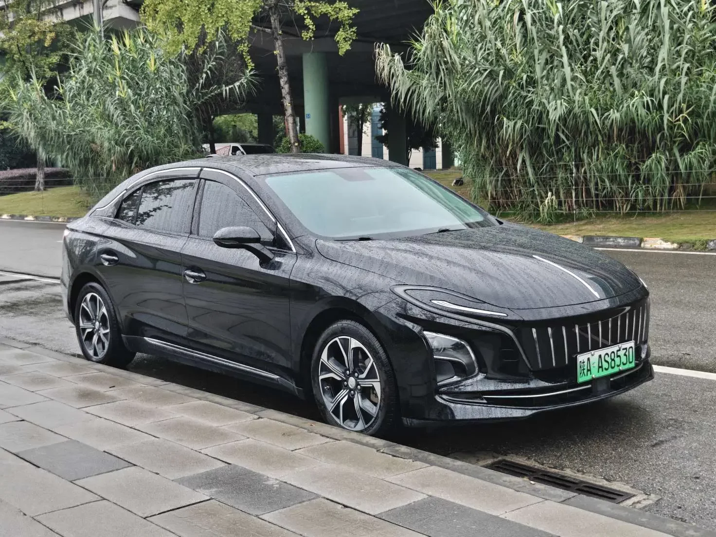 Hongqi E-QM5