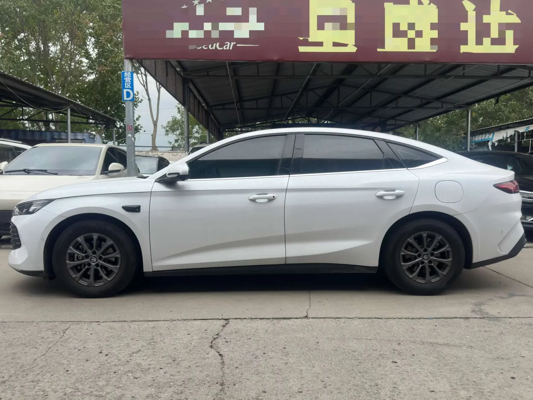BYD Qin L DM