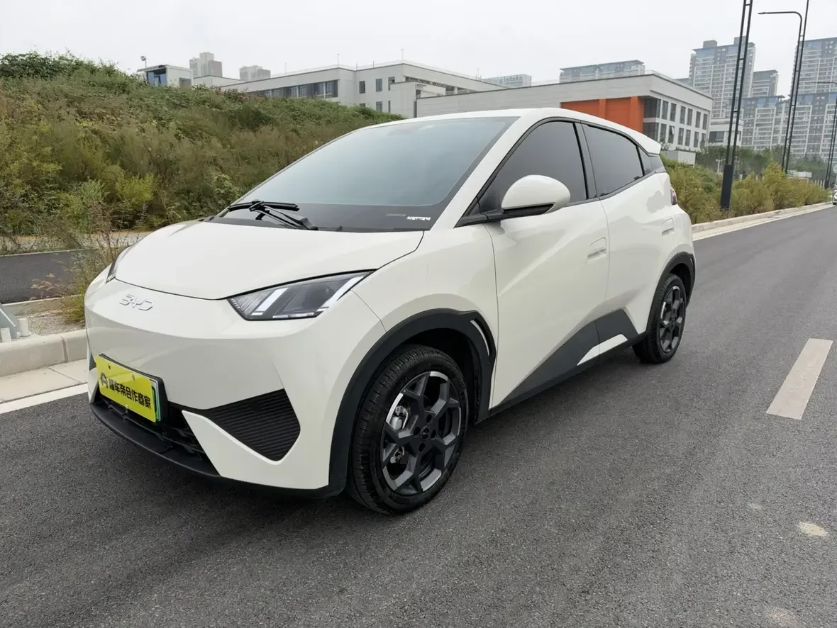 BYD Seagull