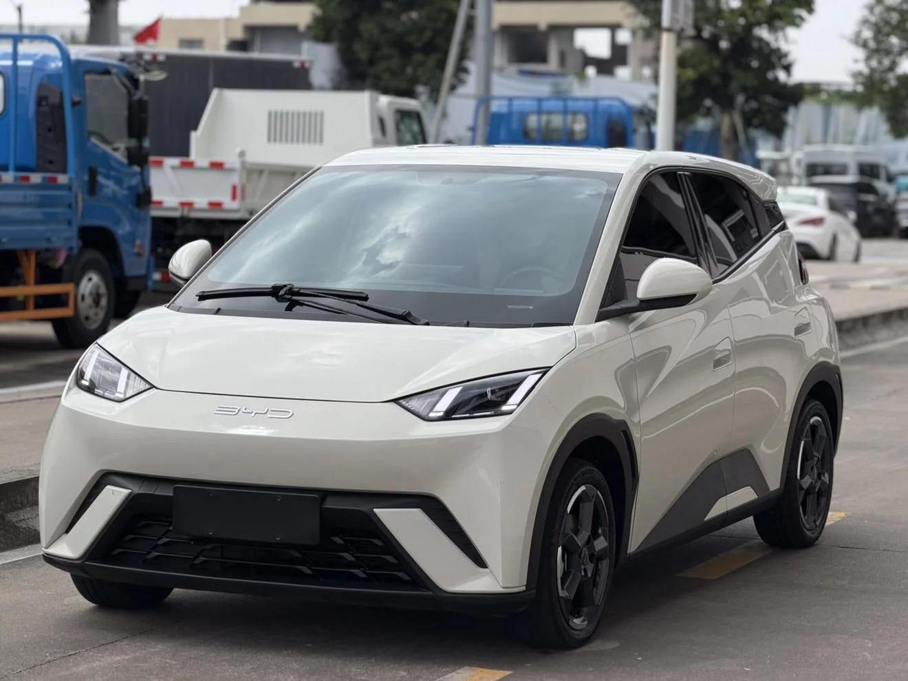 BYD Seagull