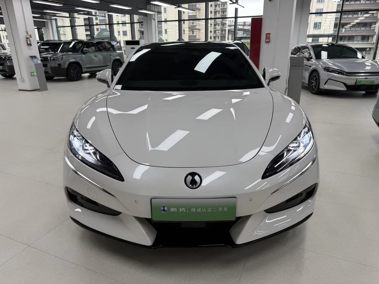 Denza BYD Z9GT EV