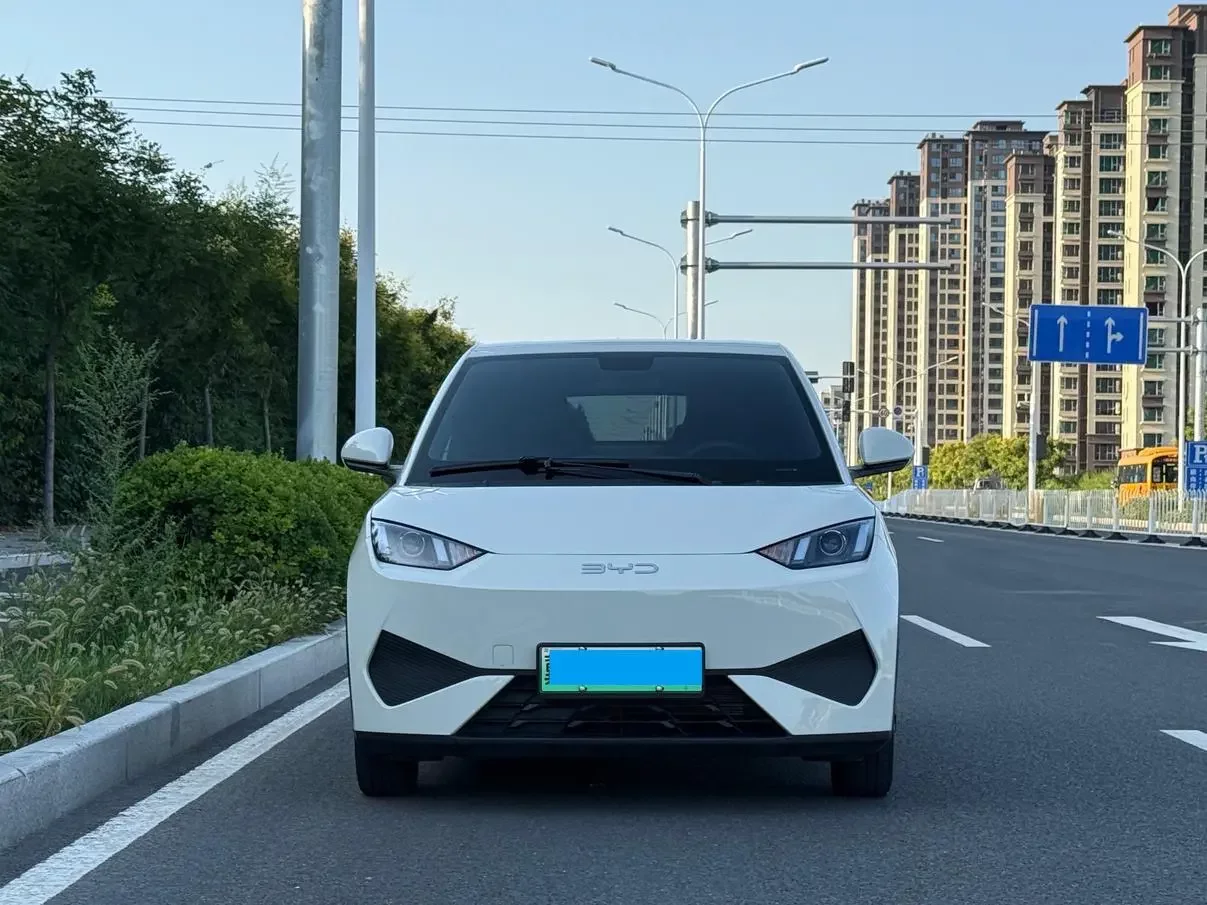 BYD Seagull
