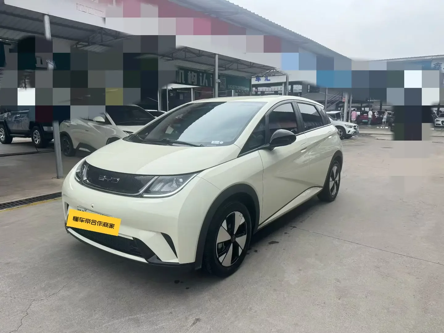 BYD Dolphin