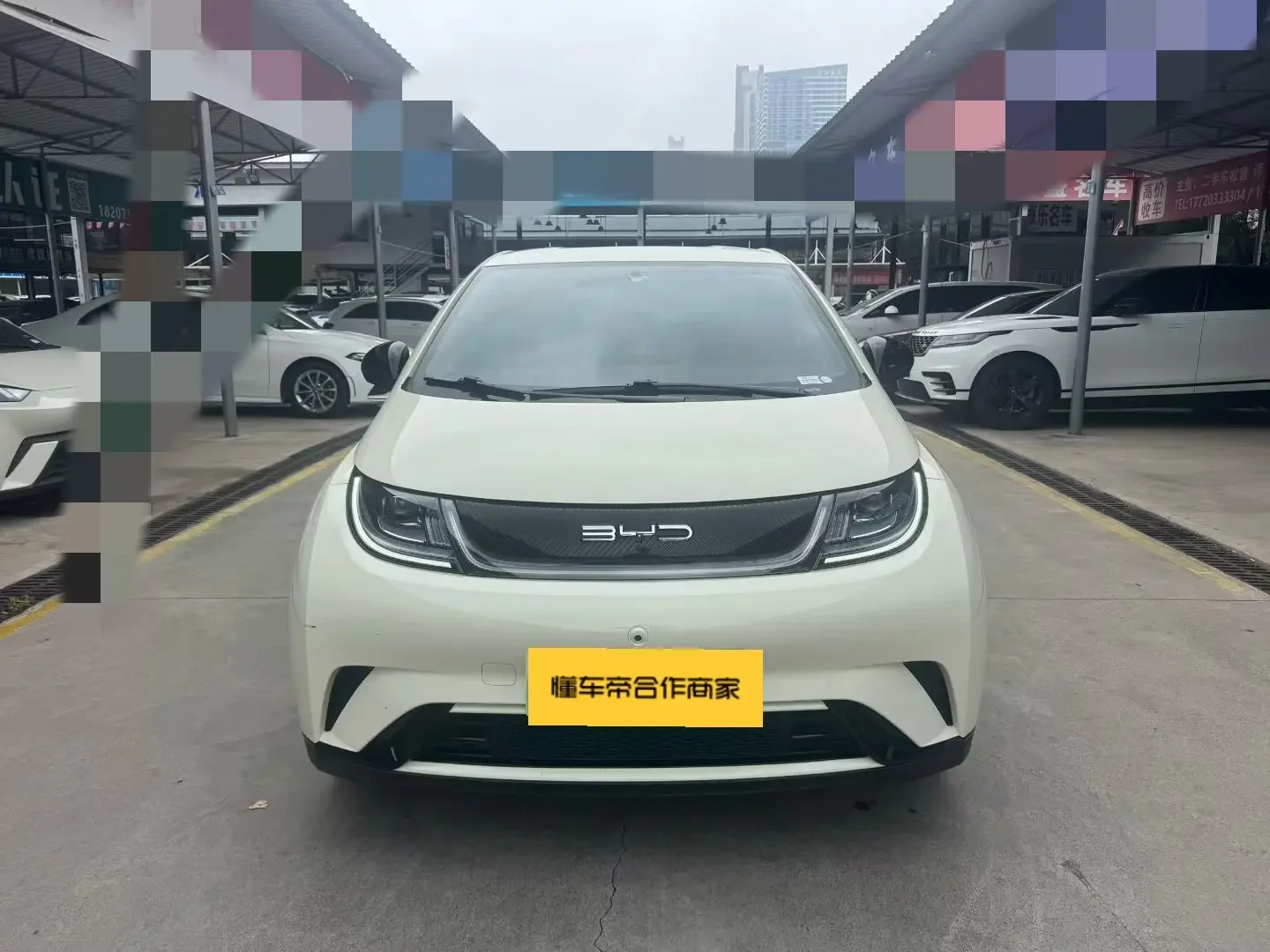 BYD Dolphin