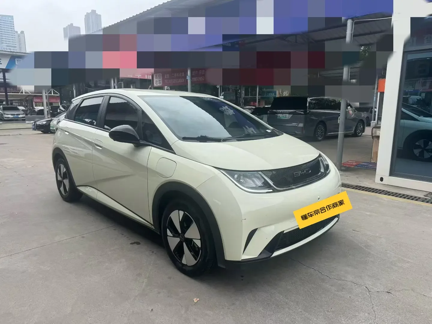 BYD Dolphin
