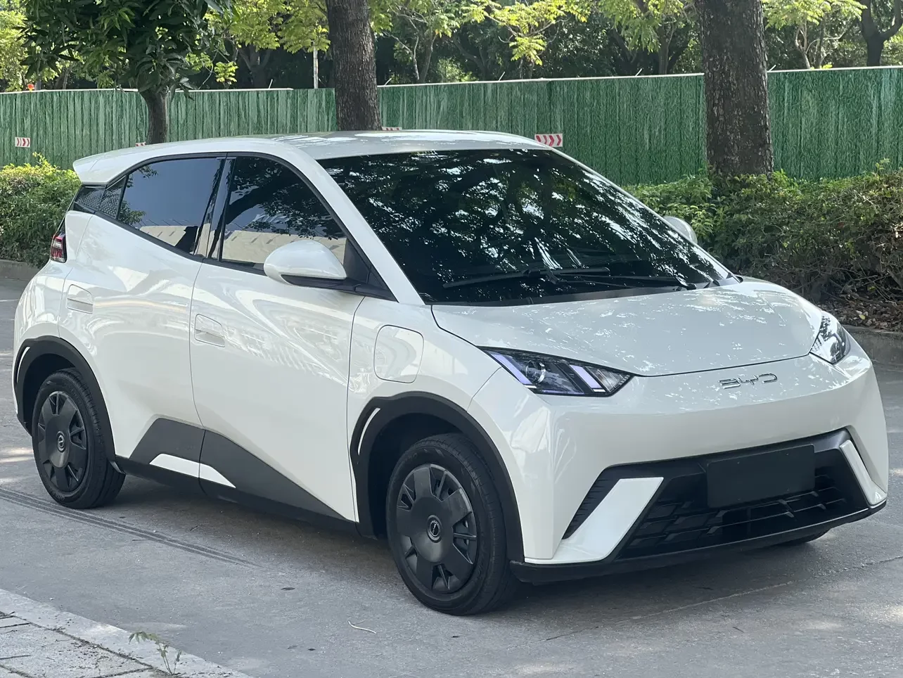 BYD Seagull