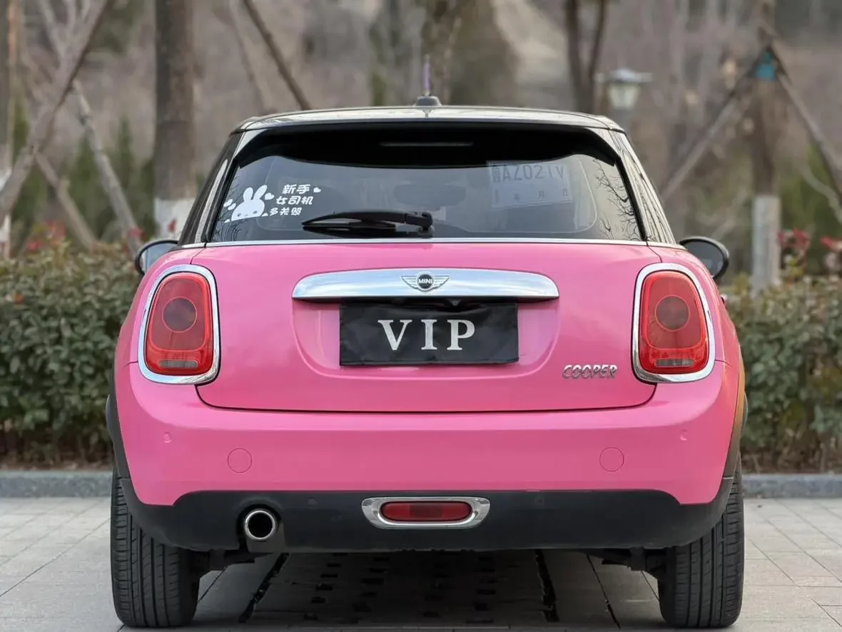 MINI MINI