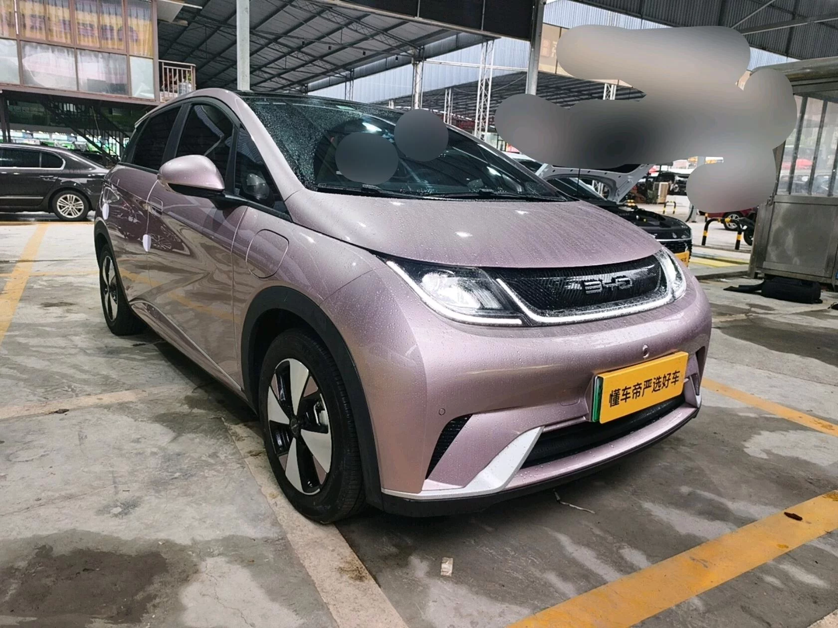 BYD Dolphin