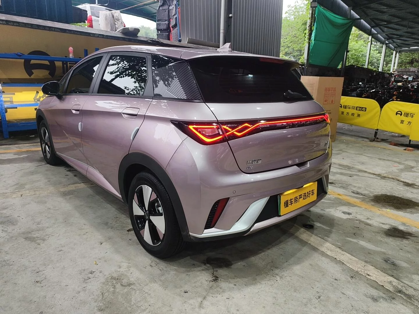 BYD Dolphin