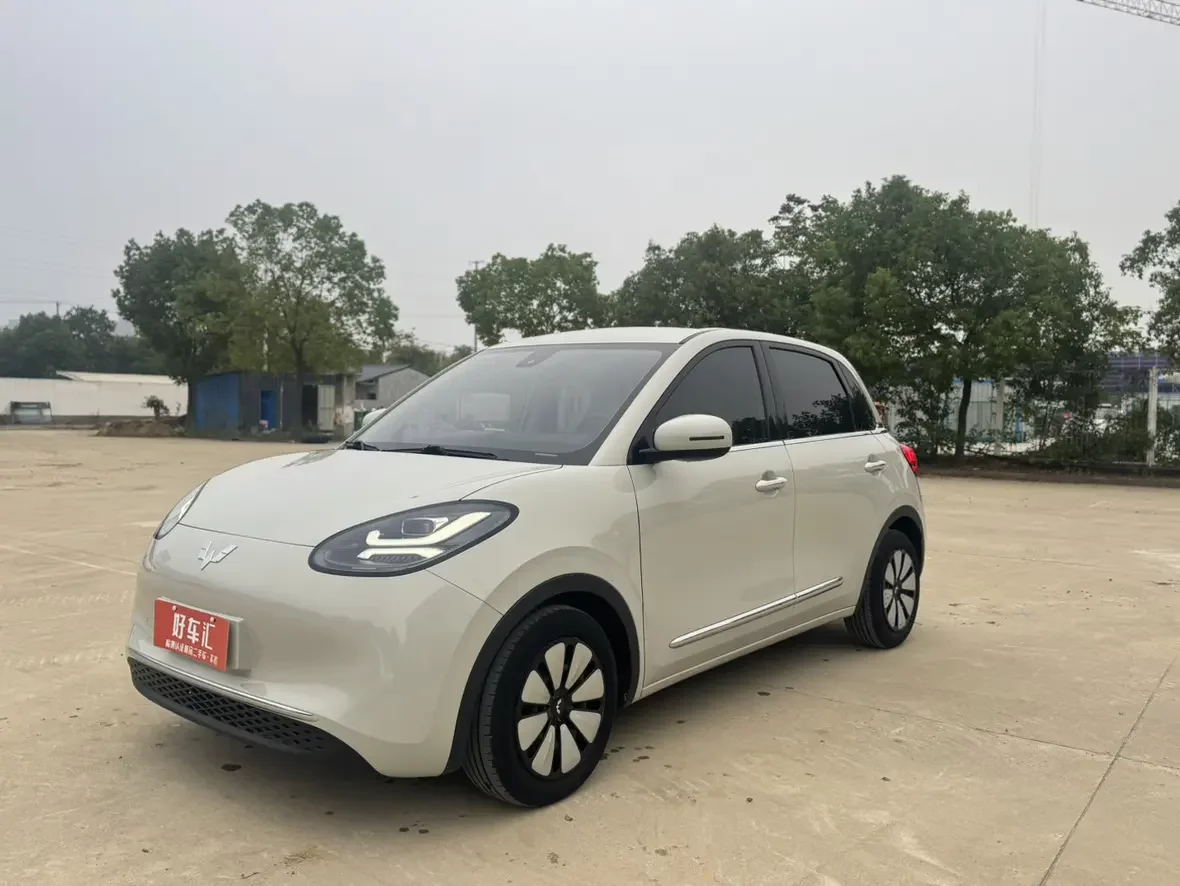 Wuling Bingo