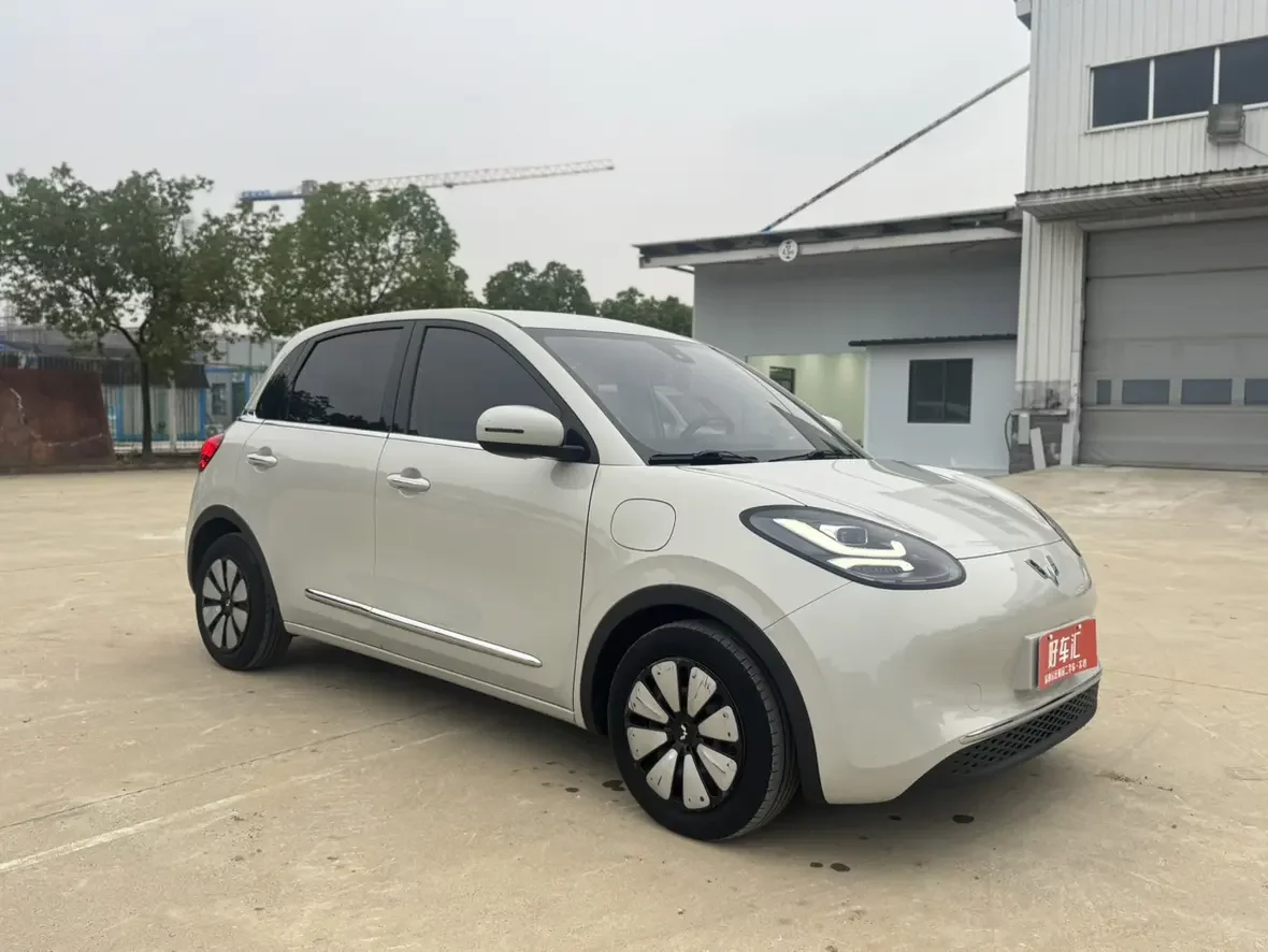 Wuling Bingo