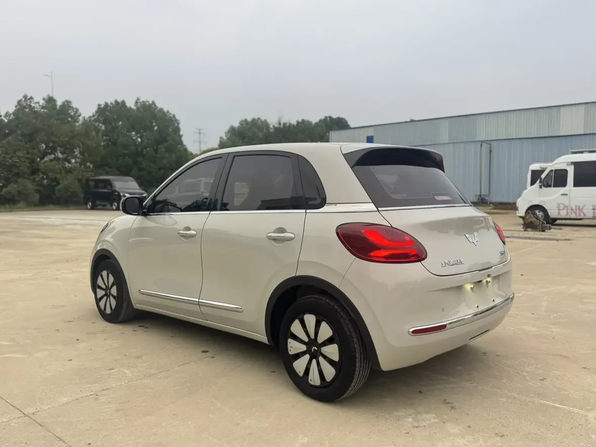 Wuling Bingo