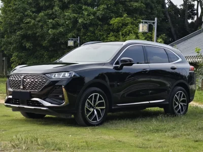 Wey Latte PHEV, 2023 — купить с доставкой из Китая