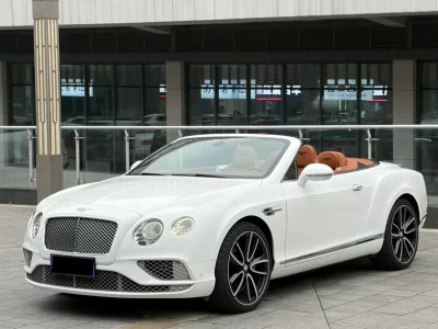 Bentley Continental, 2013 — купить с доставкой из Китая