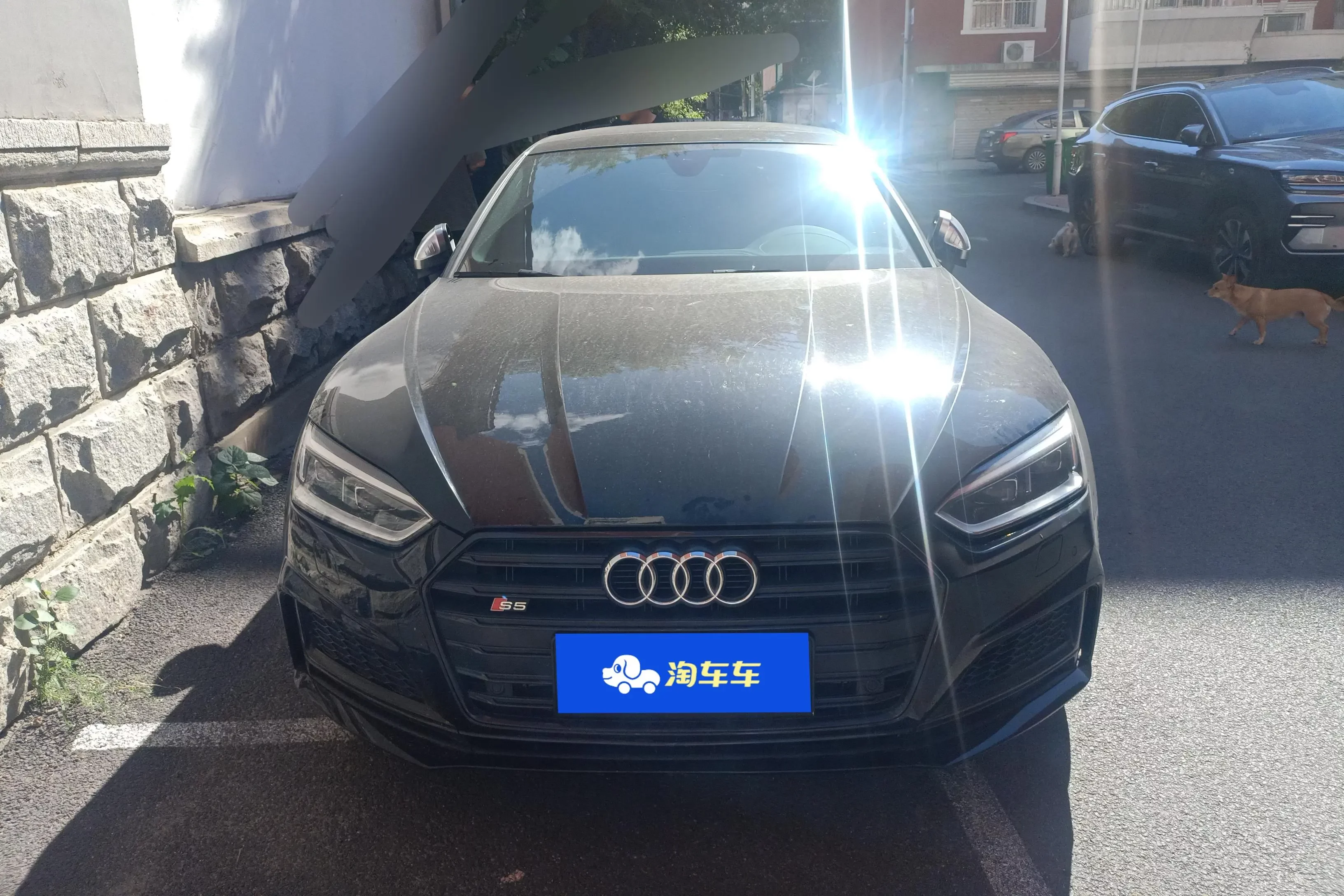 Audi S5