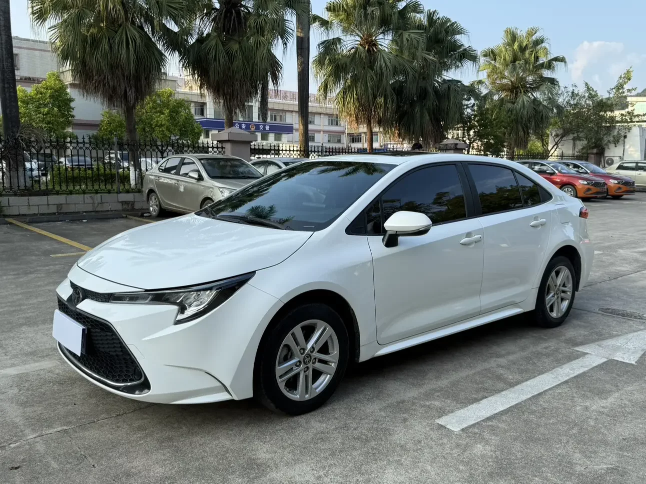 Toyota Levin