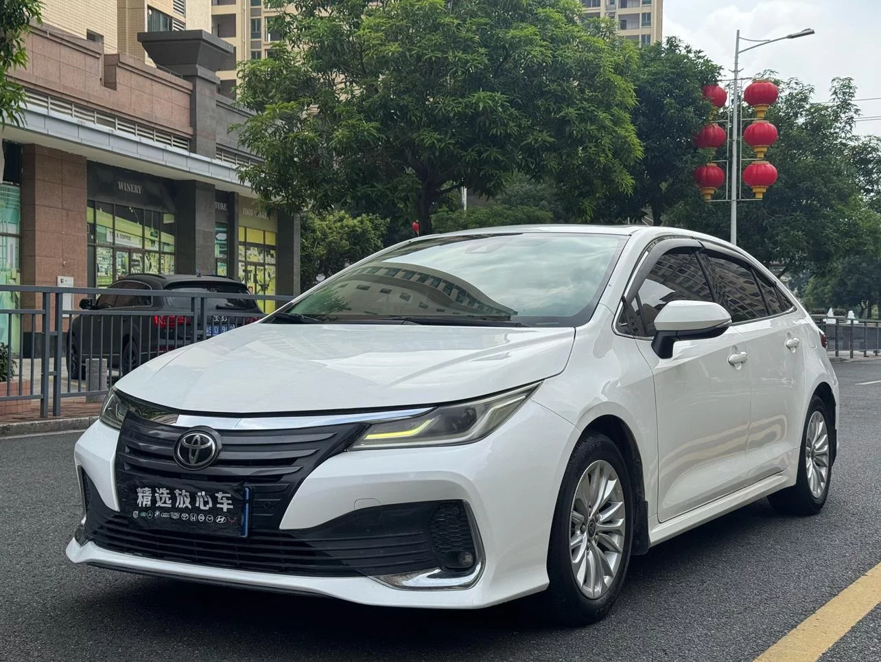 Toyota Asiatic lion