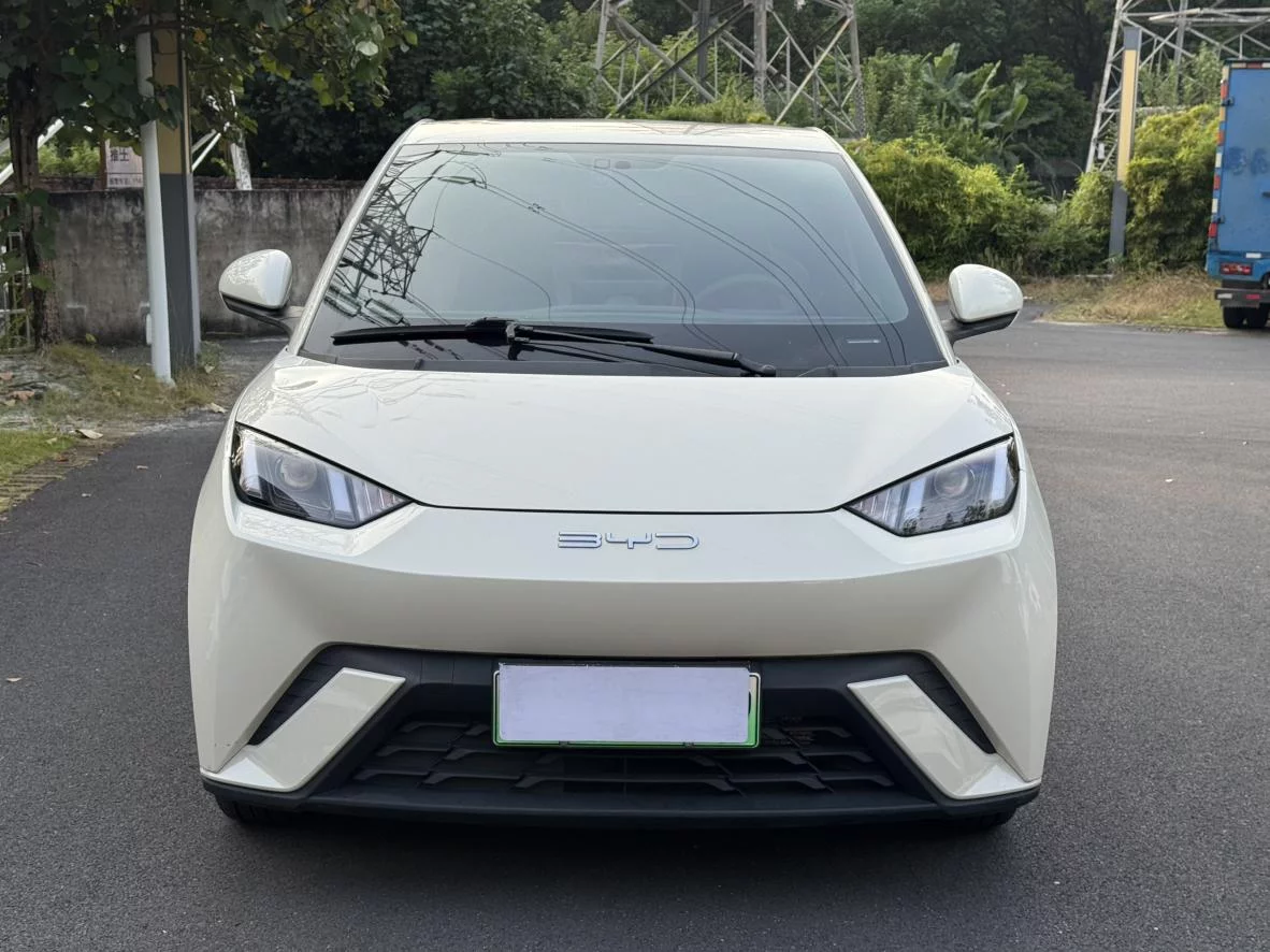 BYD Seagull