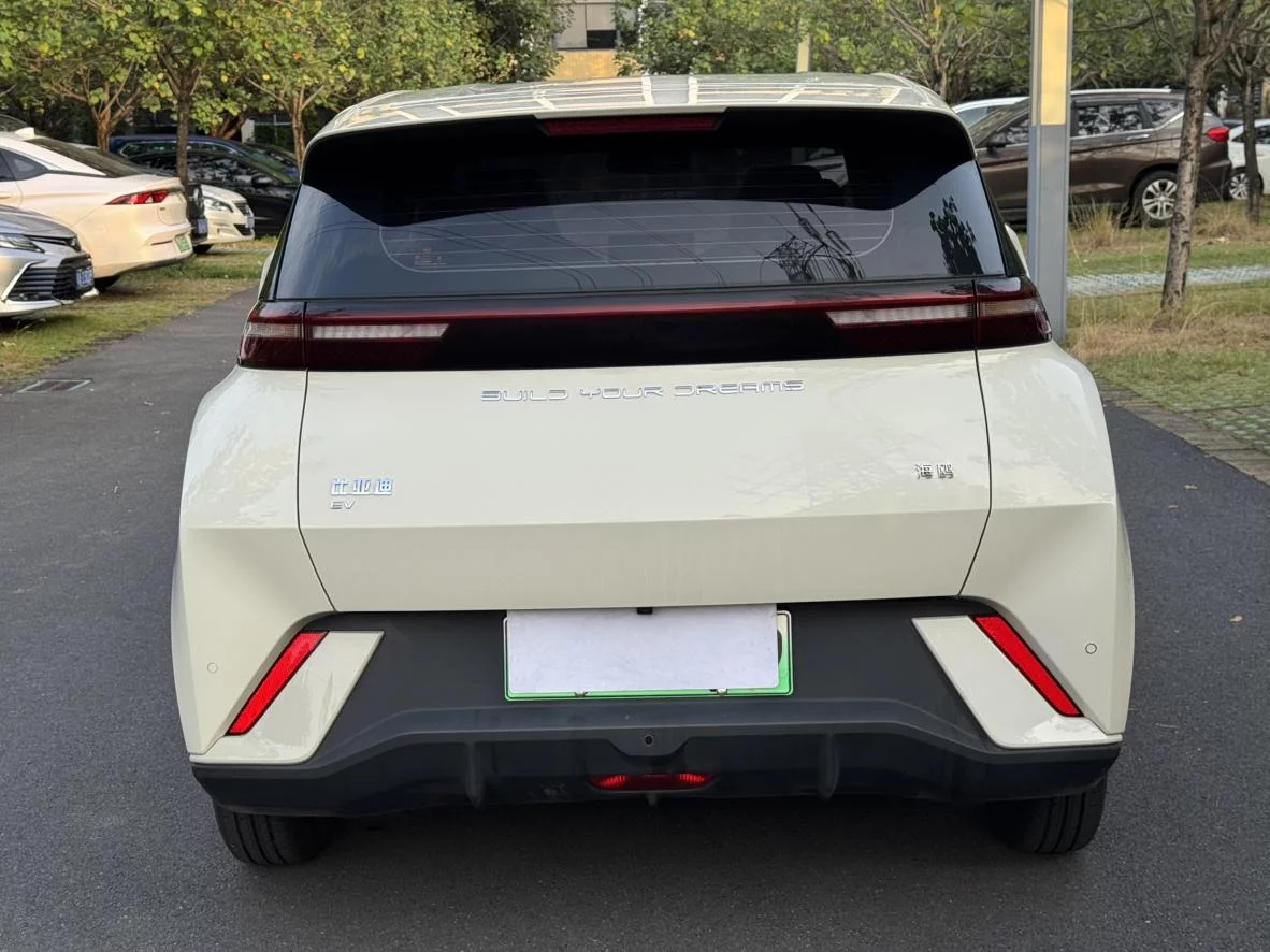 BYD Seagull
