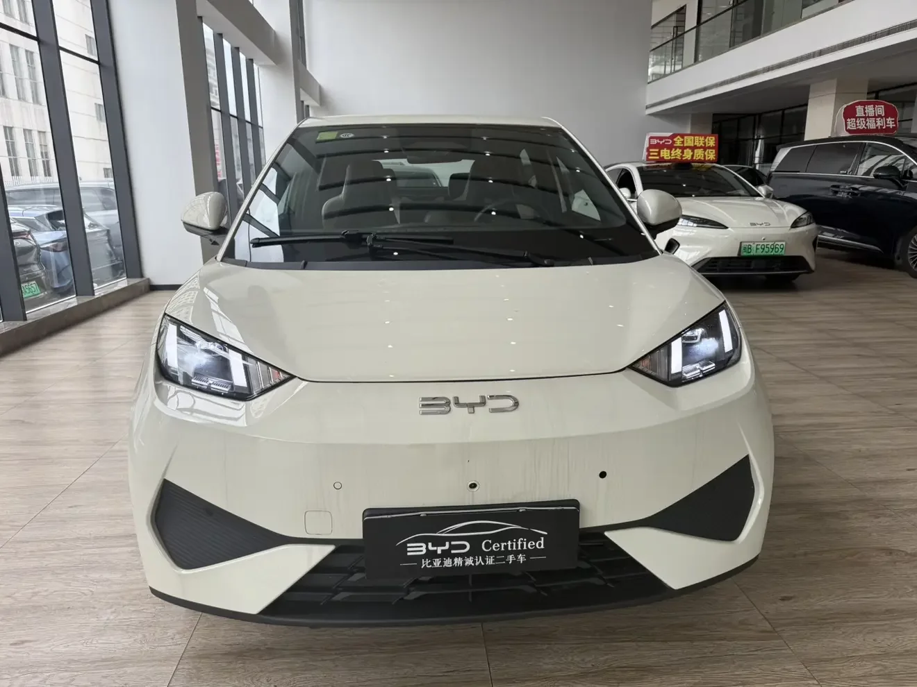 BYD Seagull