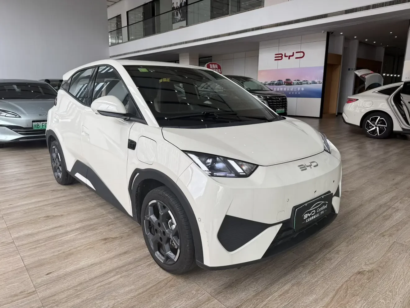 BYD Seagull