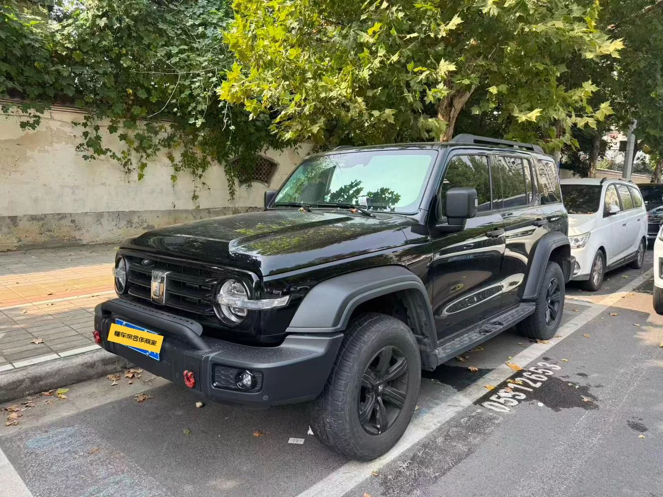 TANK 300