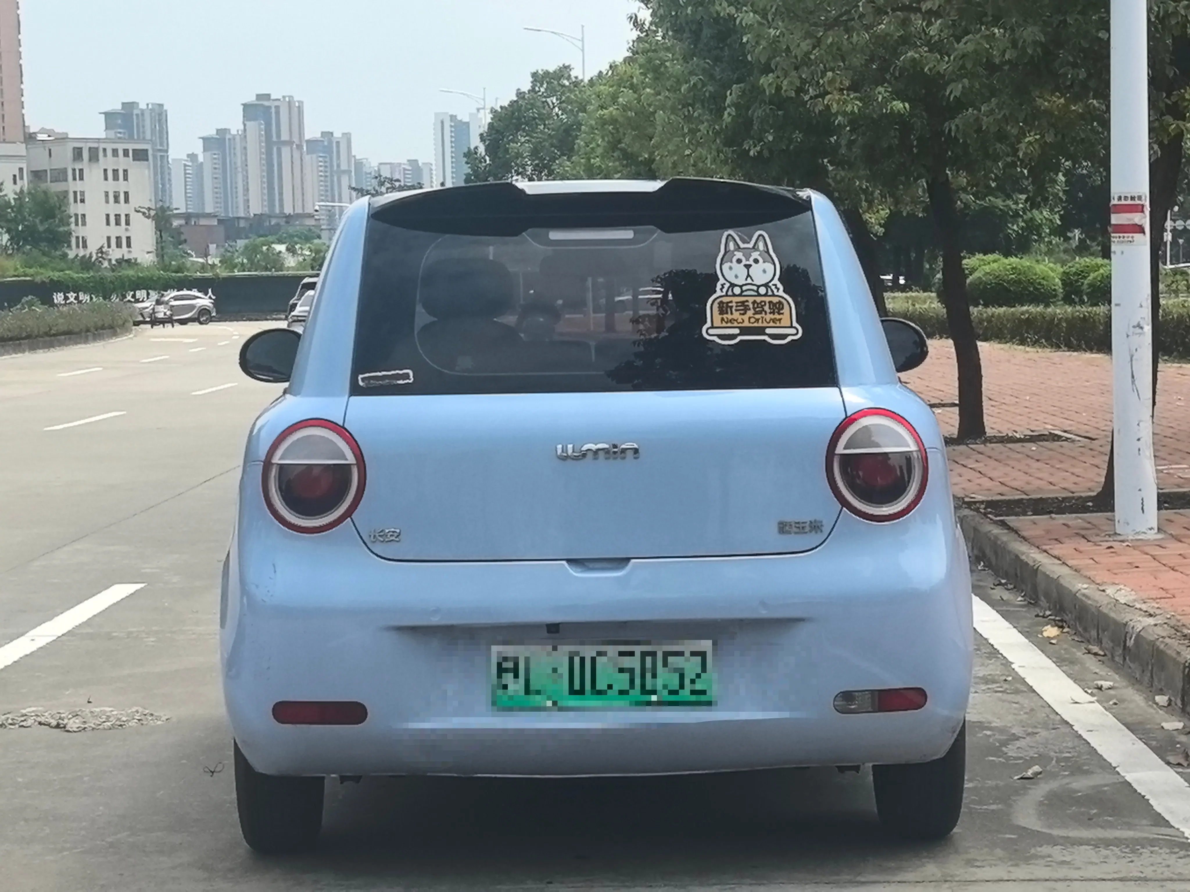 Changan Lumin