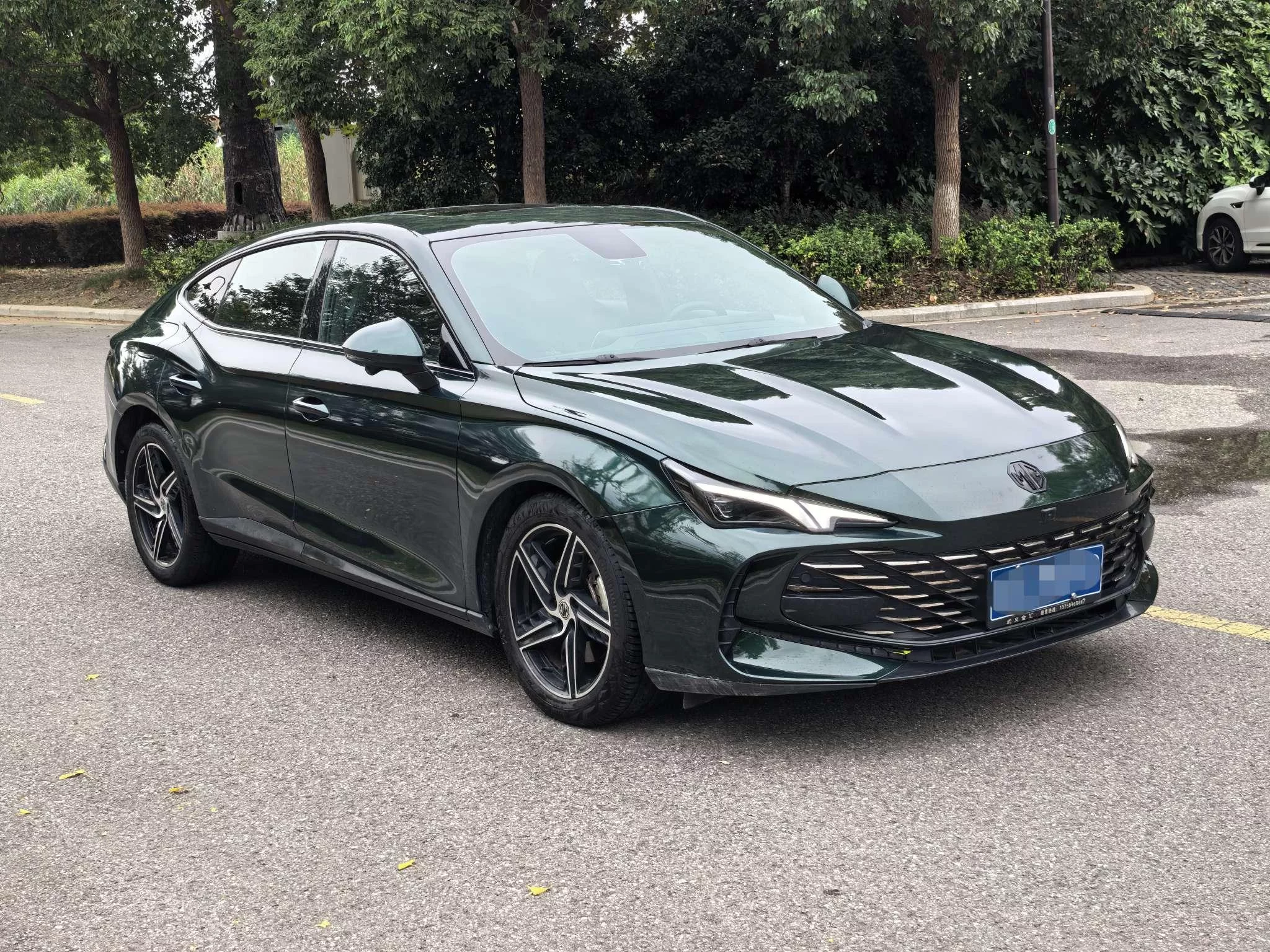 MG 7