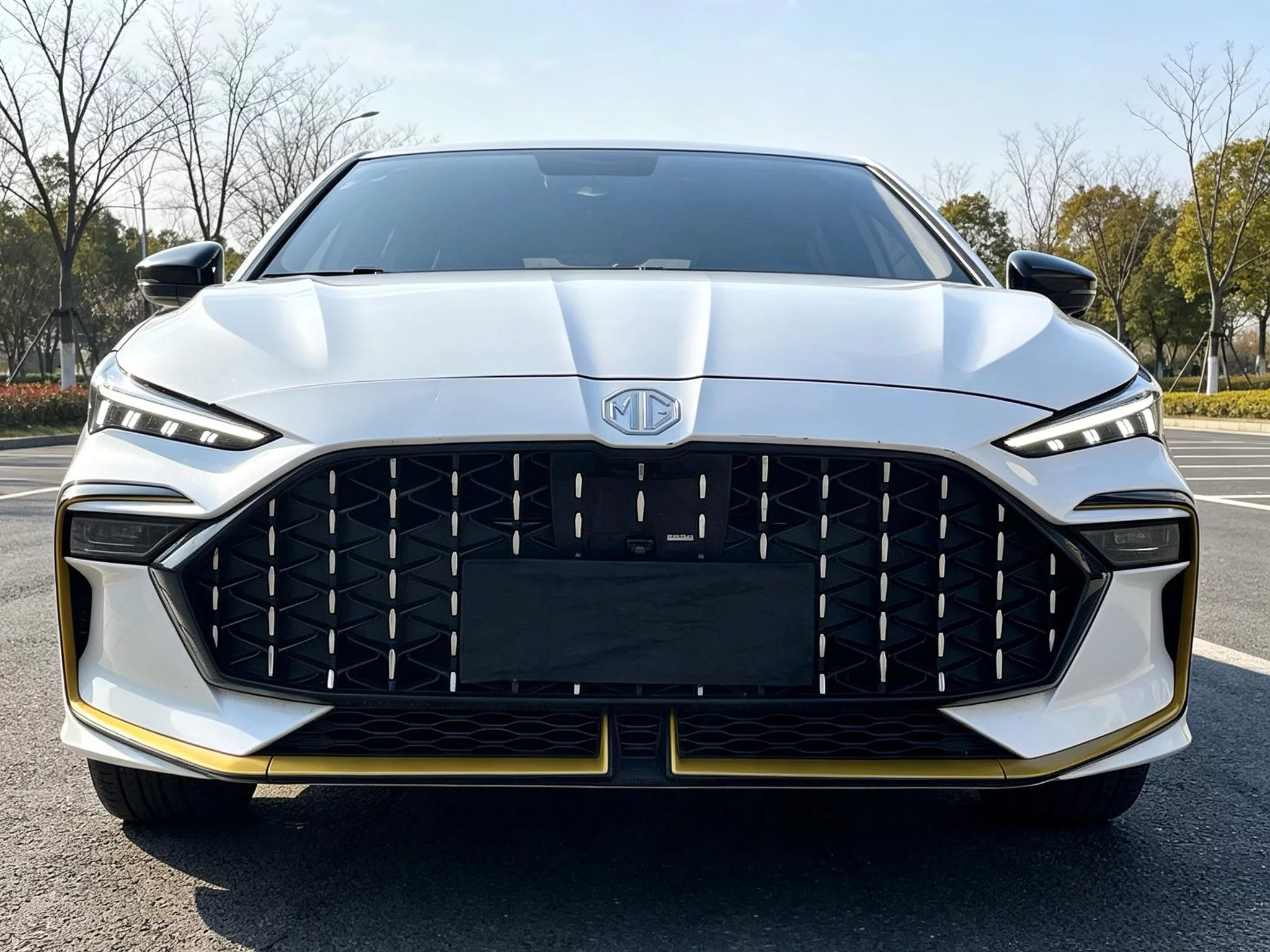MG 6