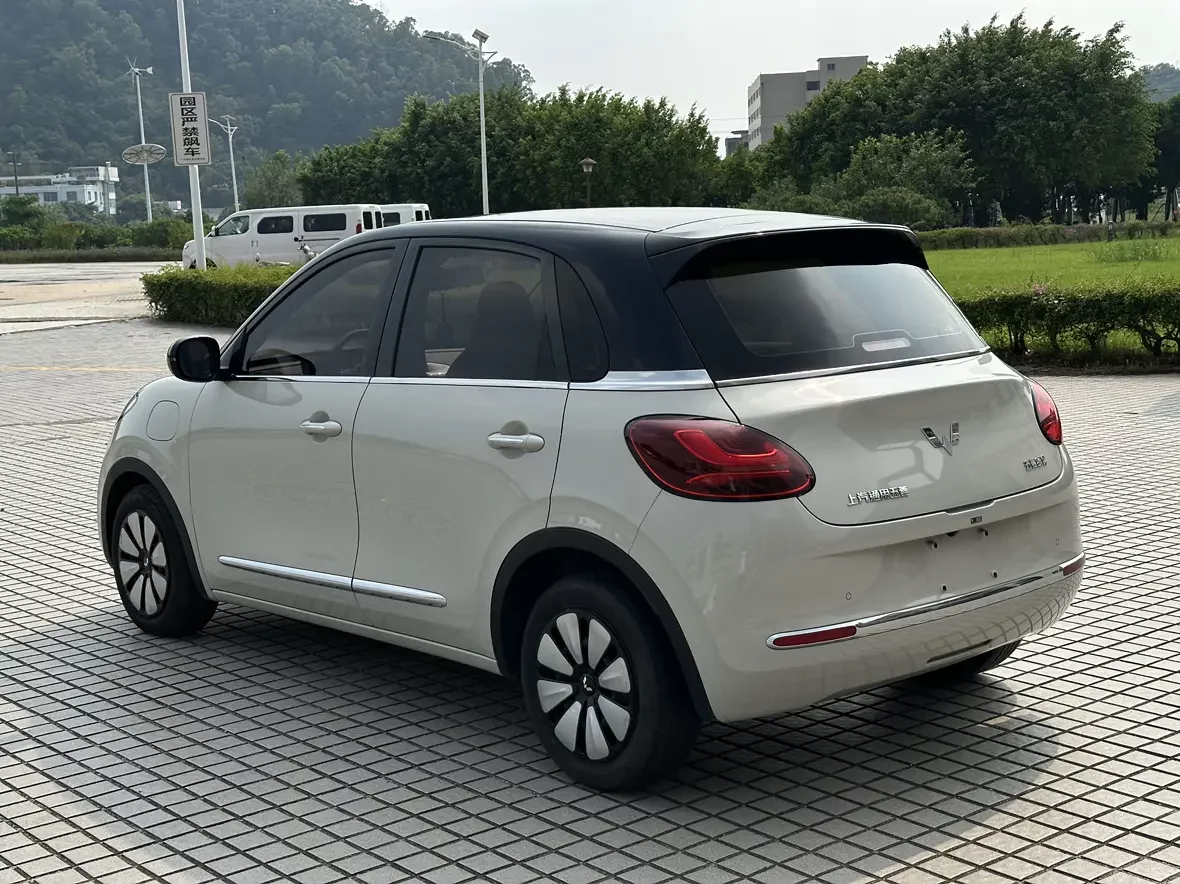 Wuling Bingo