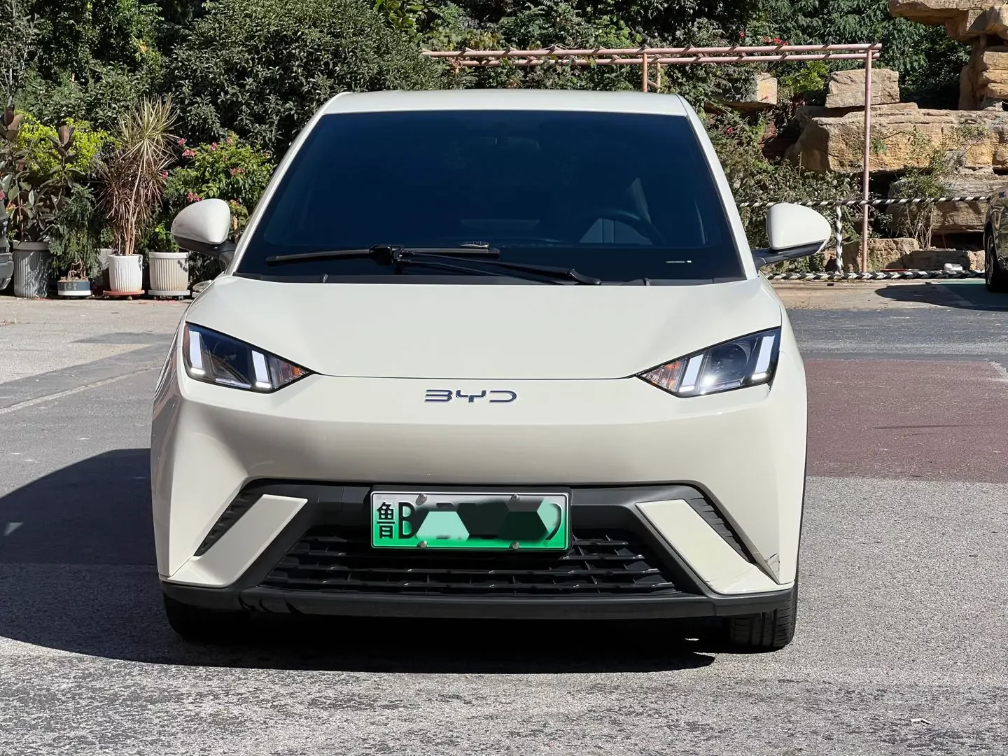 BYD Seagull