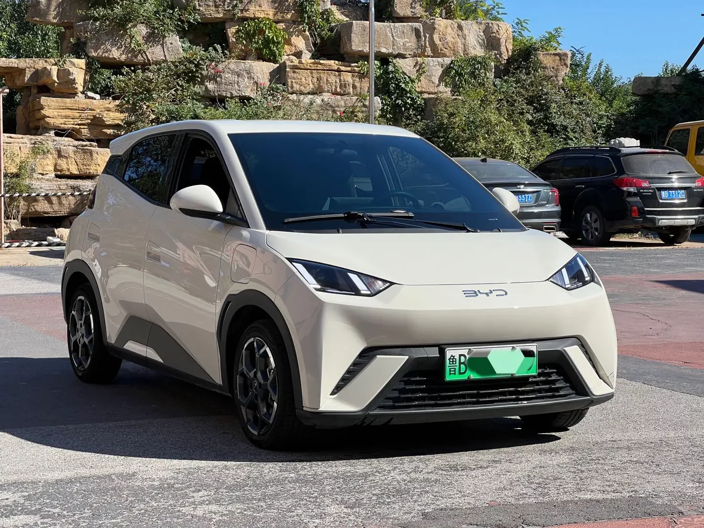 BYD Seagull
