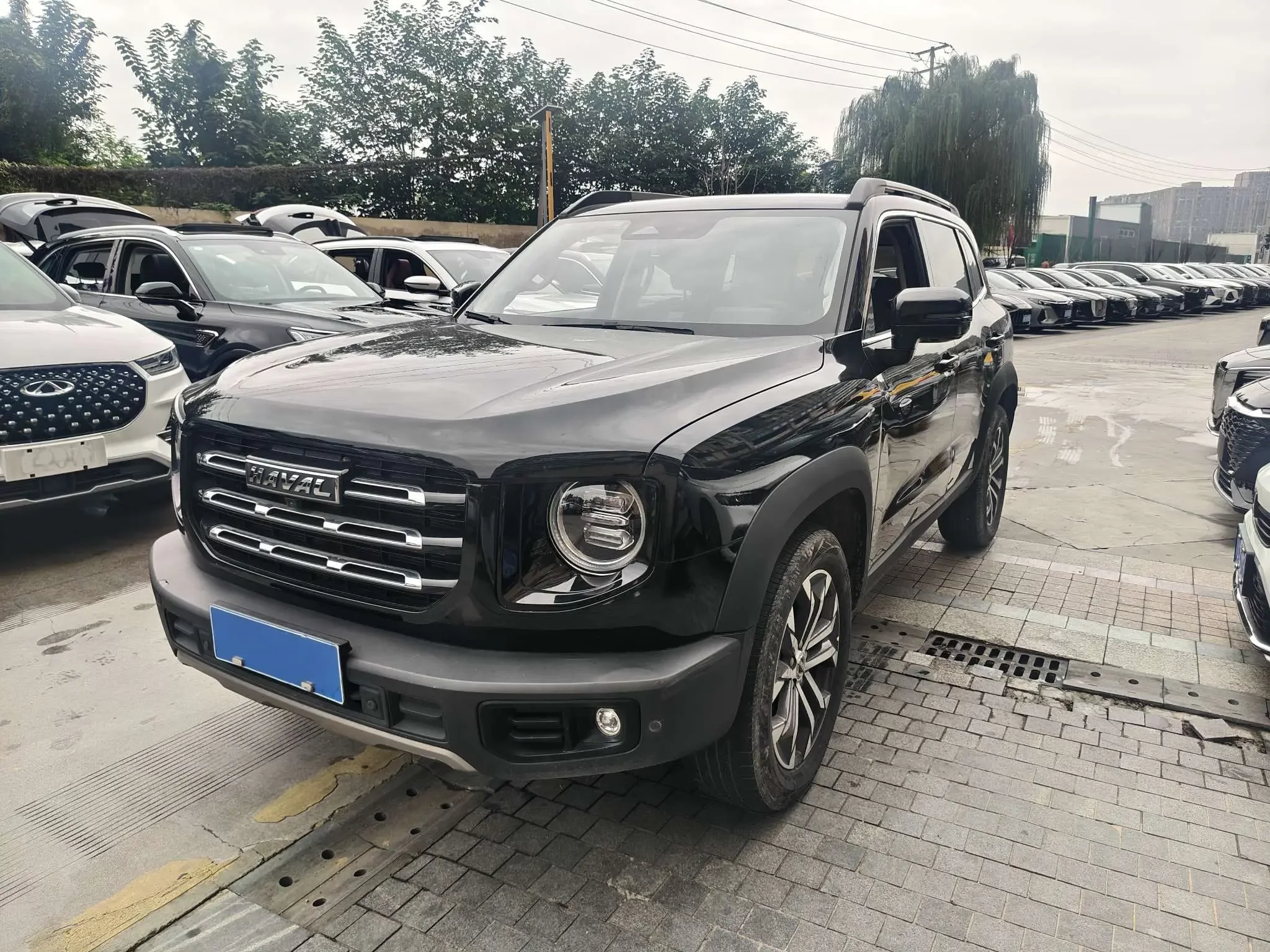 HAVAL GREAT WALL DACHSHUND