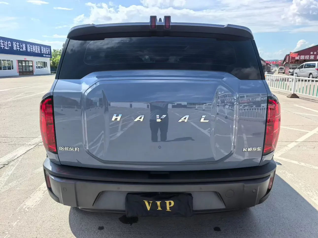 Haval cool dog