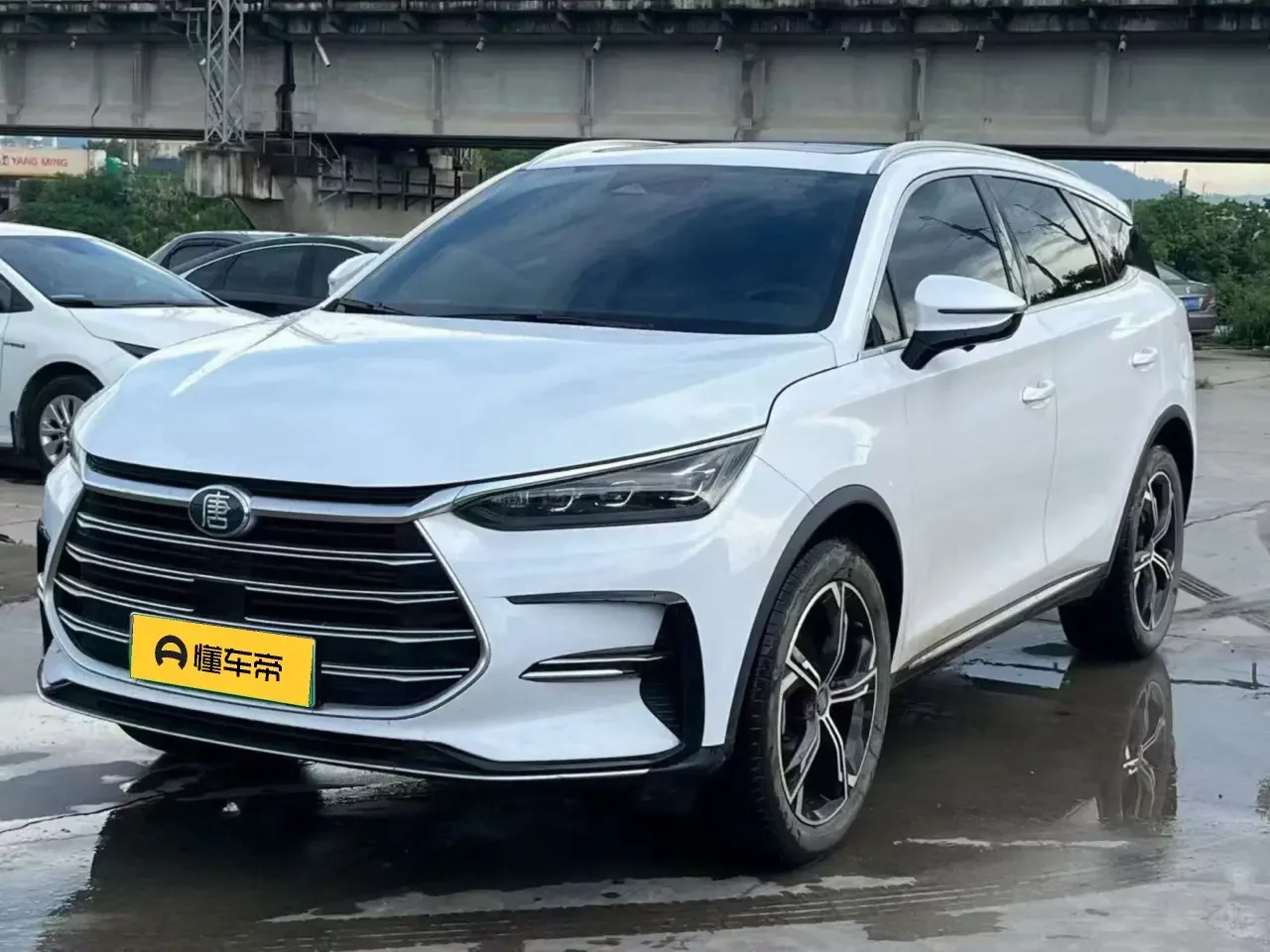 BYD Tang DM