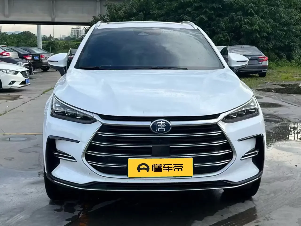 BYD Tang DM