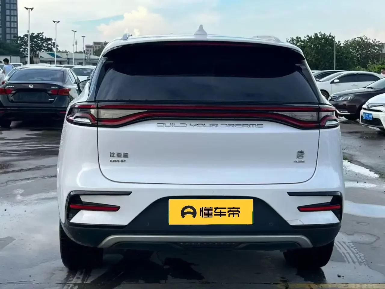 BYD Tang DM