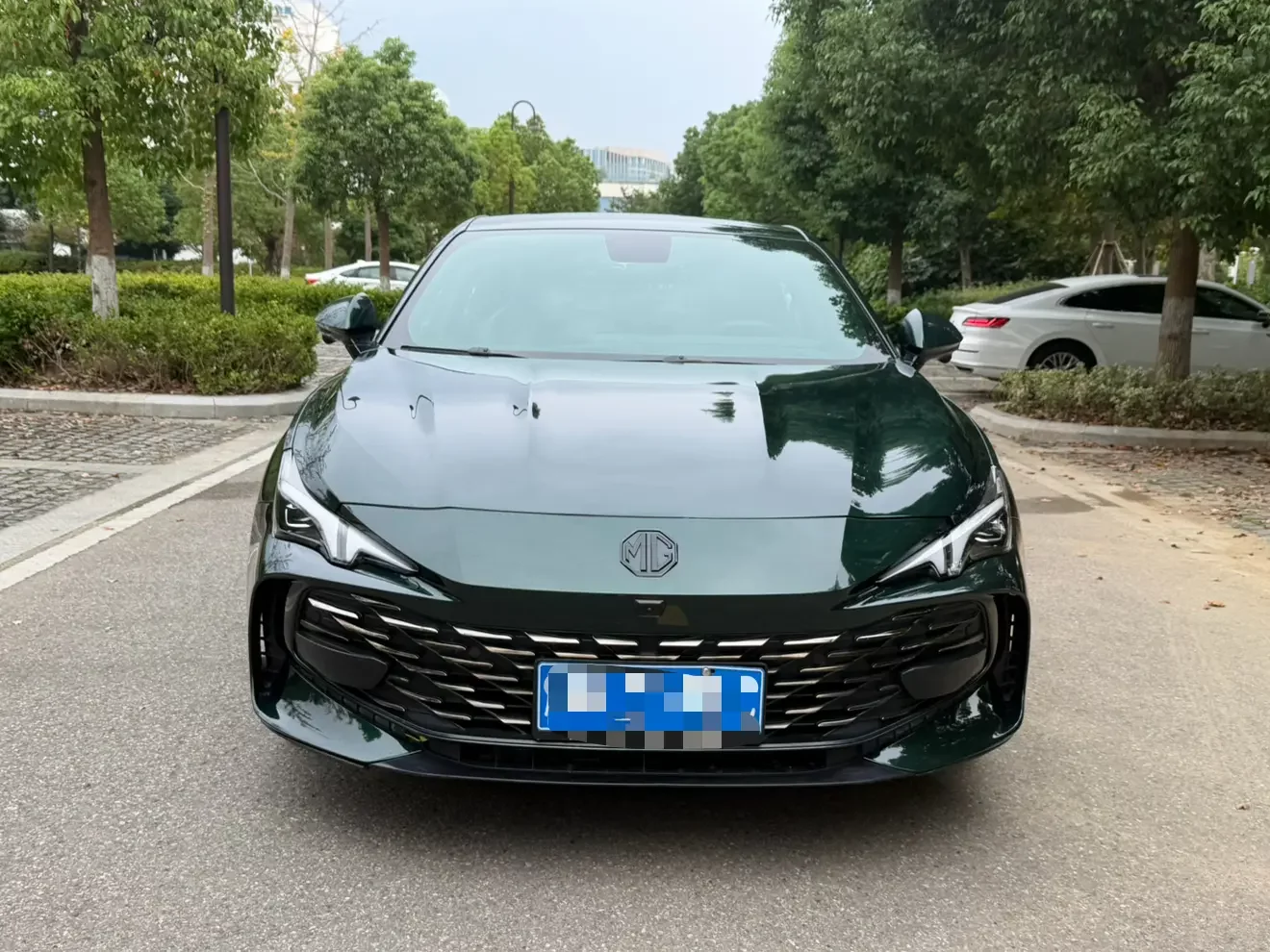 MG 7