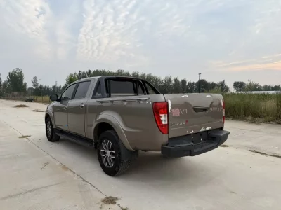 Jiangling Domain Tiger 7