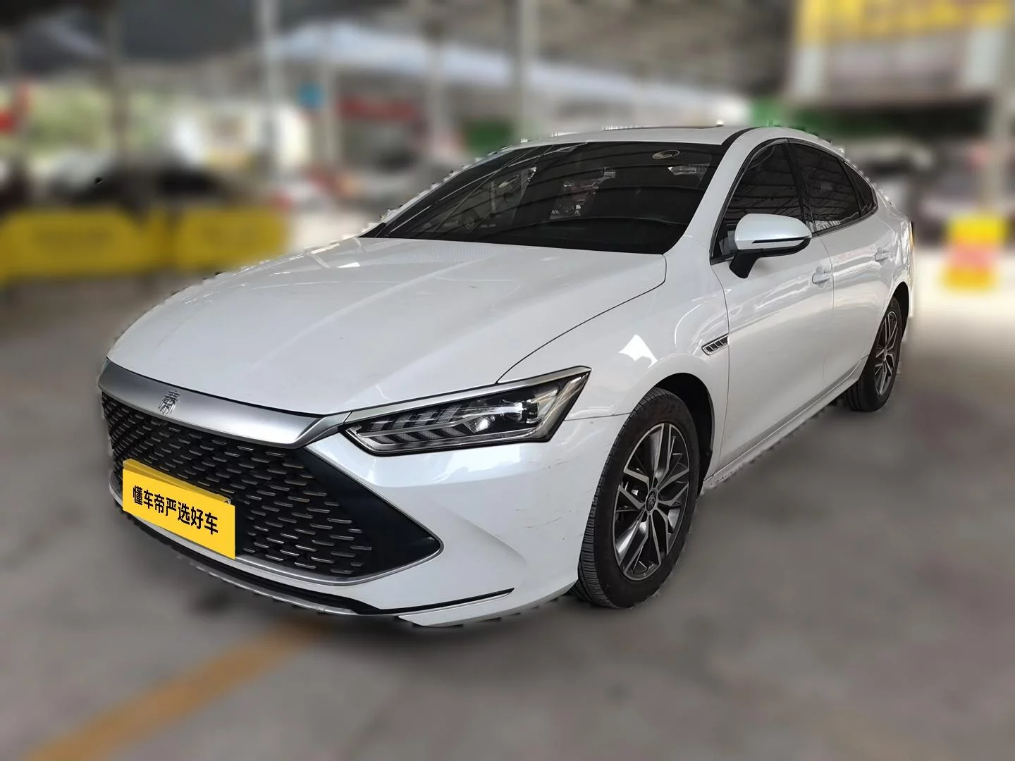 BYD Qin PLUS DM