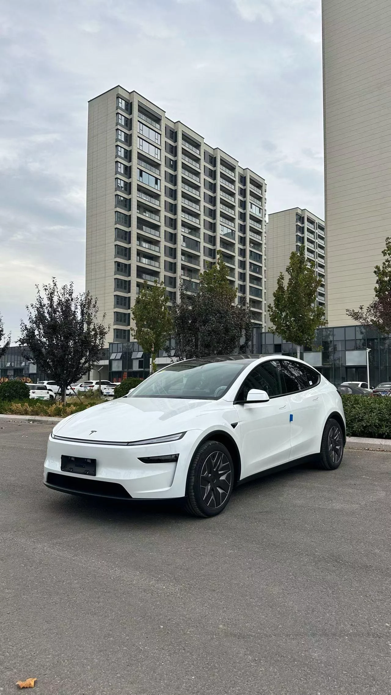 Tesla Model Y L