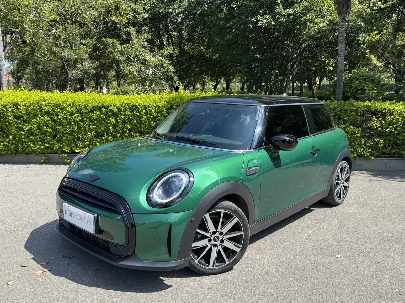MINI MINI